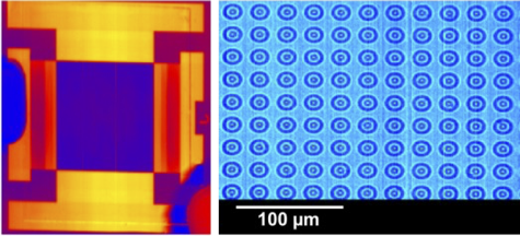 oled and microstructures.png